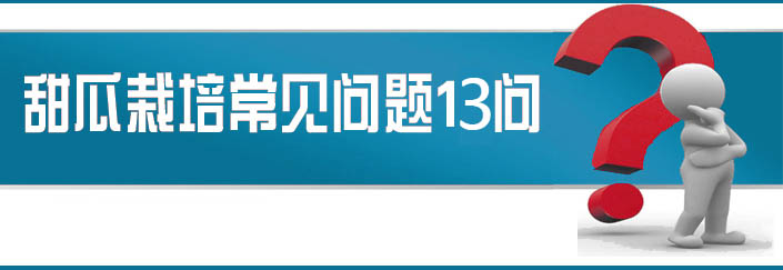 蔬菜種子栽培技術(shù)-<strong><font color='#006428'>甜瓜栽培常見問(wèn)題13問(wèn)？</font></strong>