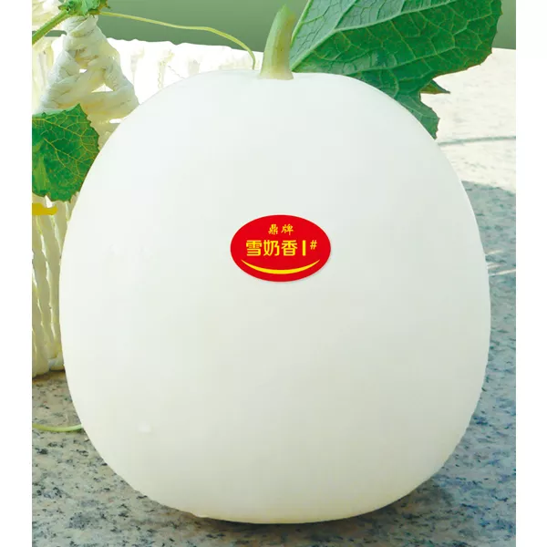 薄皮甜瓜，哪個(gè)品種最好呢？畝產(chǎn)高達(dá)10萬(wàn)，附4種市場(chǎng)爆款品種