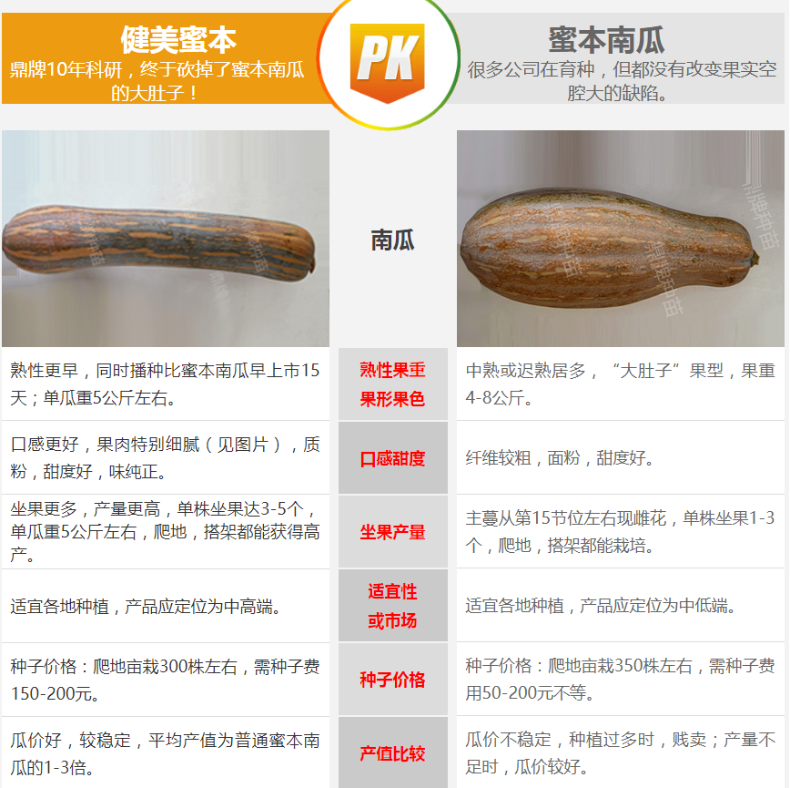 生吃都好吃南瓜新品種，沒有大肚子，肉質更密致，農戶試種下