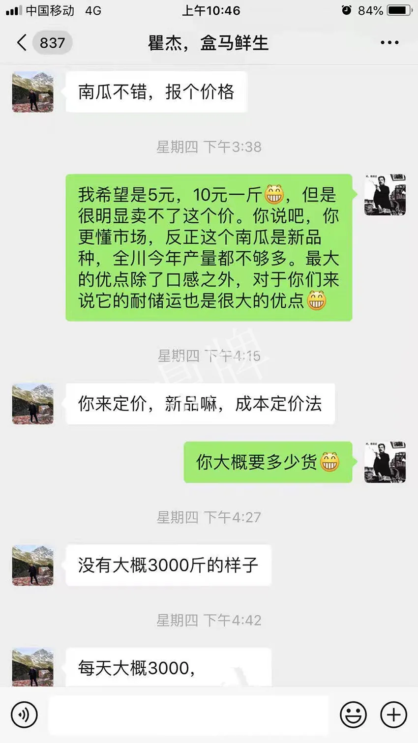 四川農(nóng)戶今年種“健美蜜本”南瓜產(chǎn)量高，品質(zhì)好，感覺巴適得很