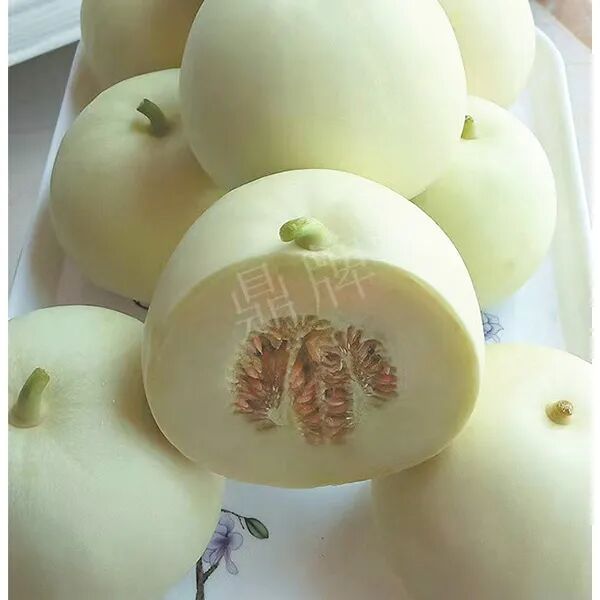 蔬菜種子種植戶種植心得-這個品種幫我留一些，4月份我們當地還要種一批