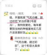 蔬菜種子種植戶客戶點評-“氣死白糖，甜過初戀”，您知道或體驗過這句話嗎